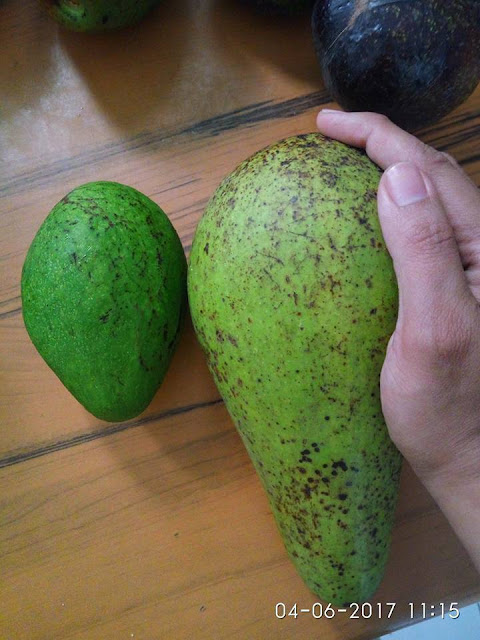 Makanan Penyebab Jerawat