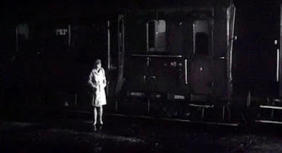 Niekochana (1965)