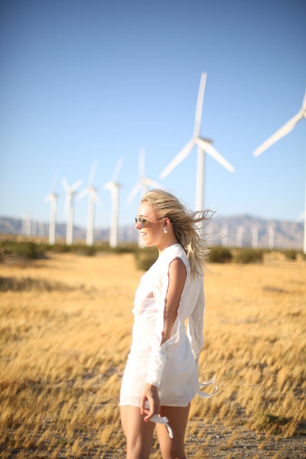 Palm Springs windfarm