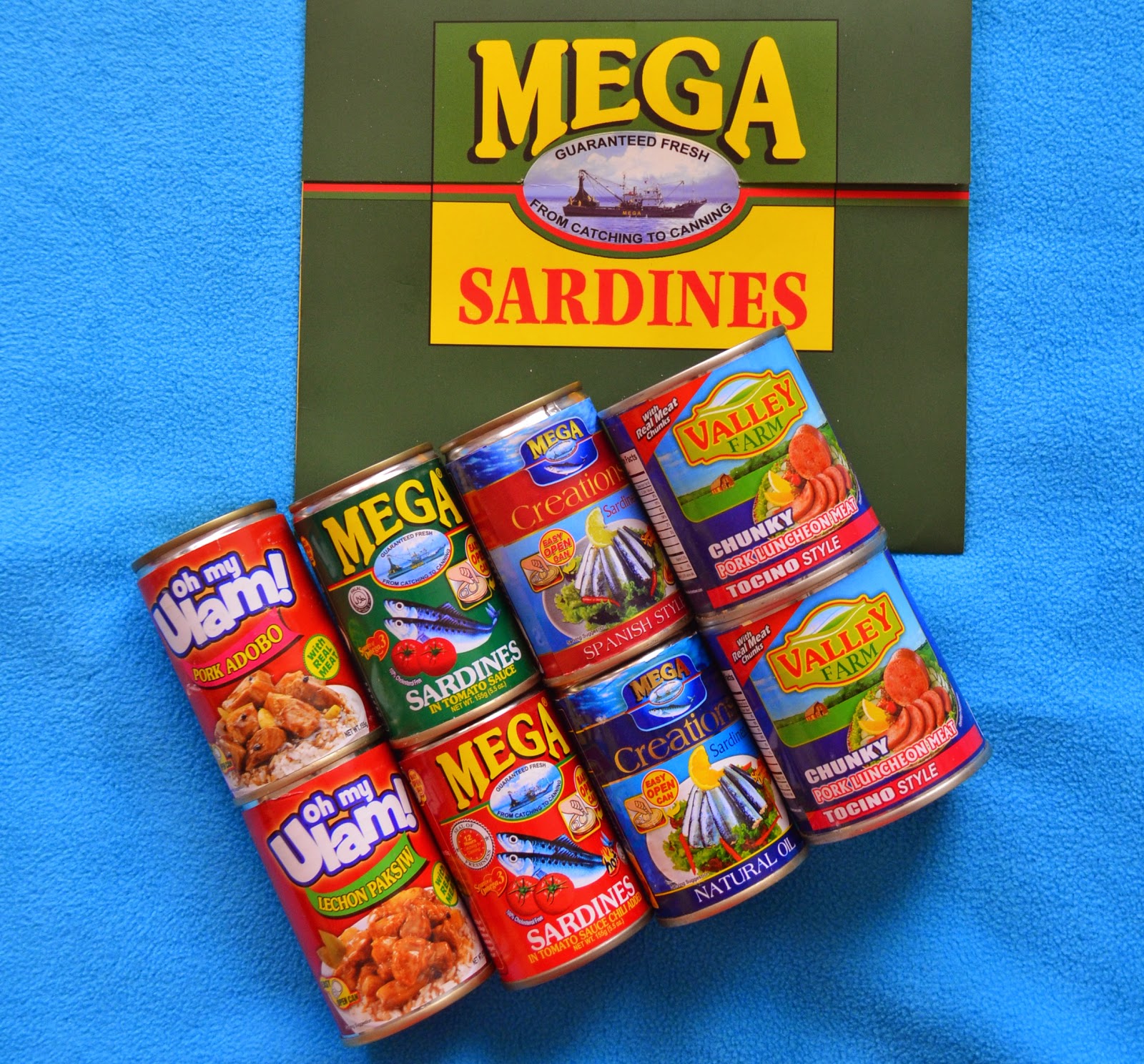 MEGA GLOBAL Championing the Filipino Family Enjoying Wonderful World