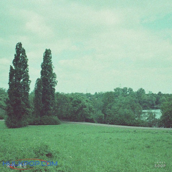 Forest Season – See You Yesterday