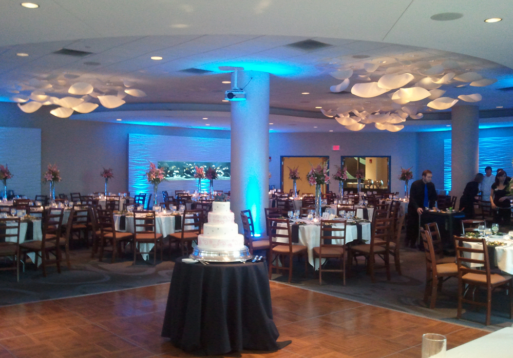 Newport Aquarium KY Wedding Venue Newport Aquarium KY Wedding Venue