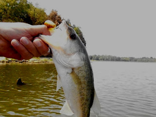 BaitRageous J Percy Priest Lake - Jeff Fish 3