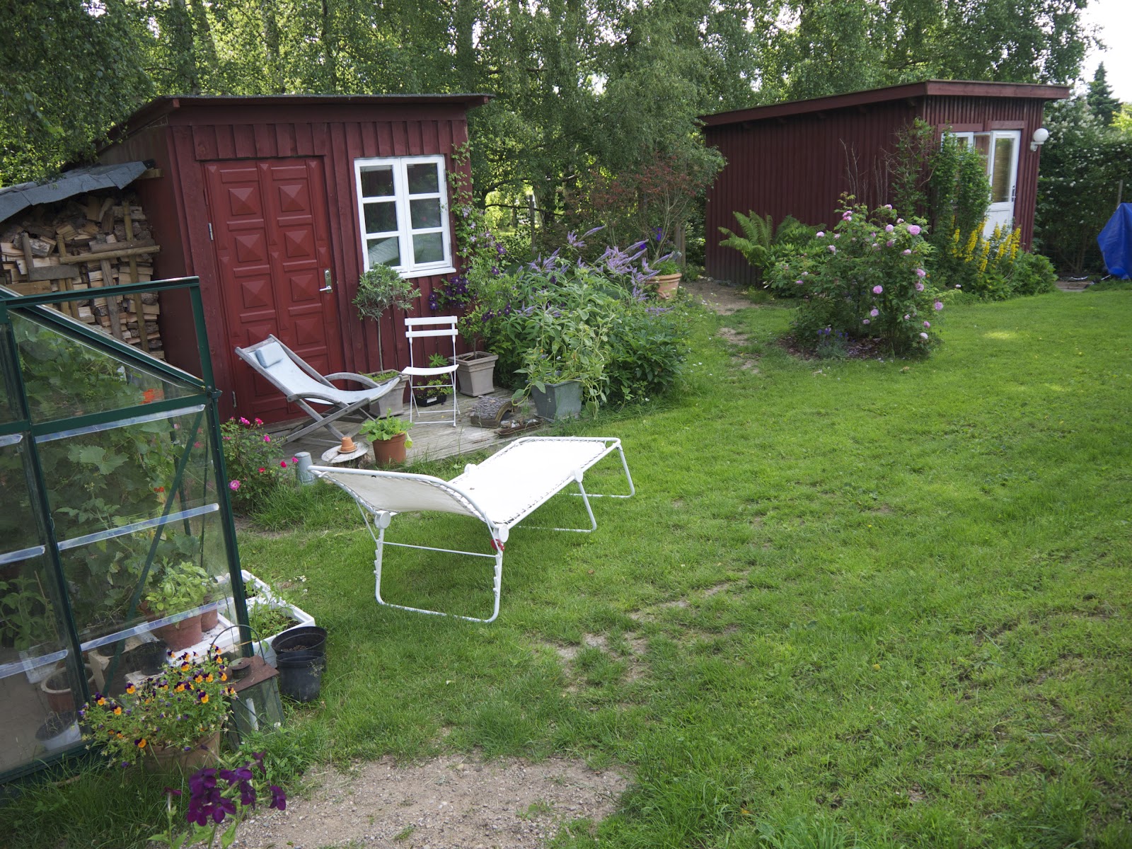 Min Haves Floraog Dyreliv: Havetur