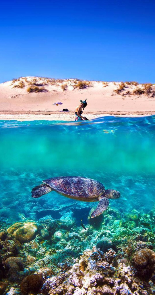 10 Attractive Beaches in Australia to Spend Your Vacation 10 Attractive Beaches in Australia to Spend Your Vacation