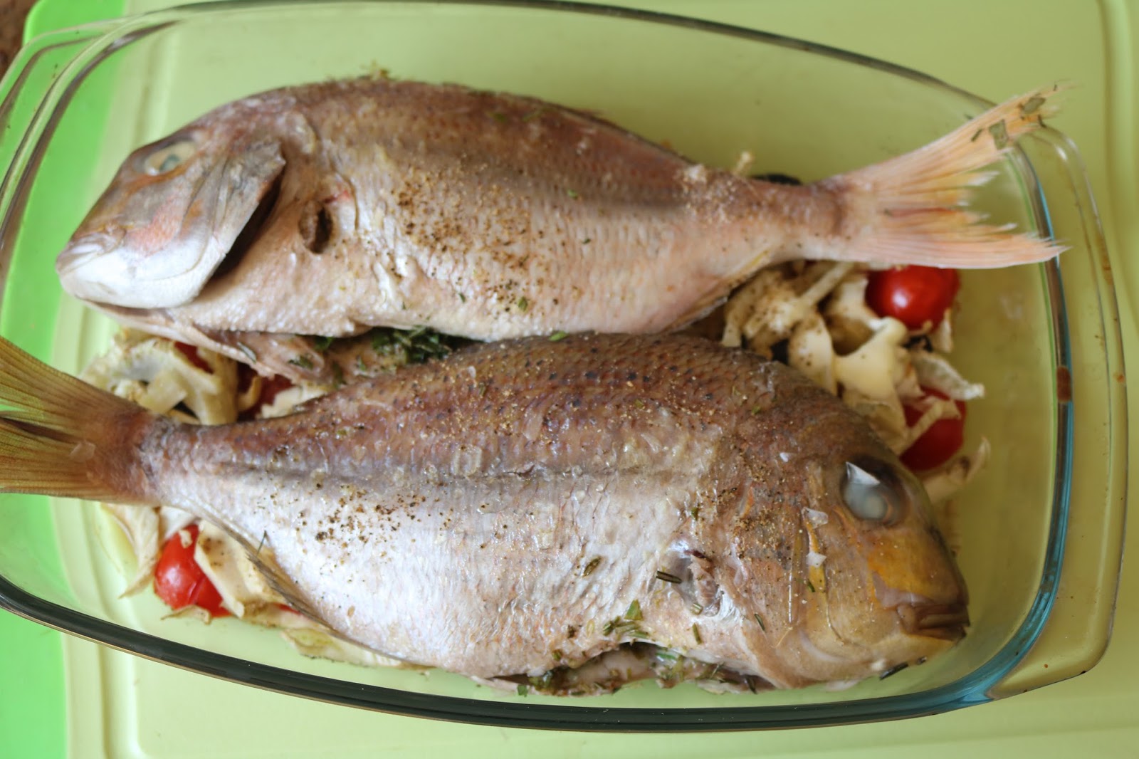 Dorade rose auf Fenchel