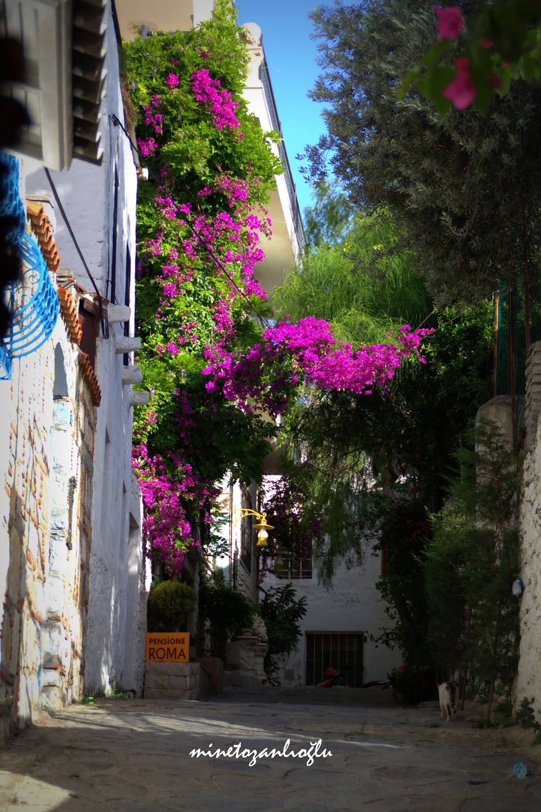 MİNE TOZANLIOĞLU Giderayak Bodrum Kareleri