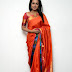 Actress Catherine Tresa Hot Photos In Orange Saree