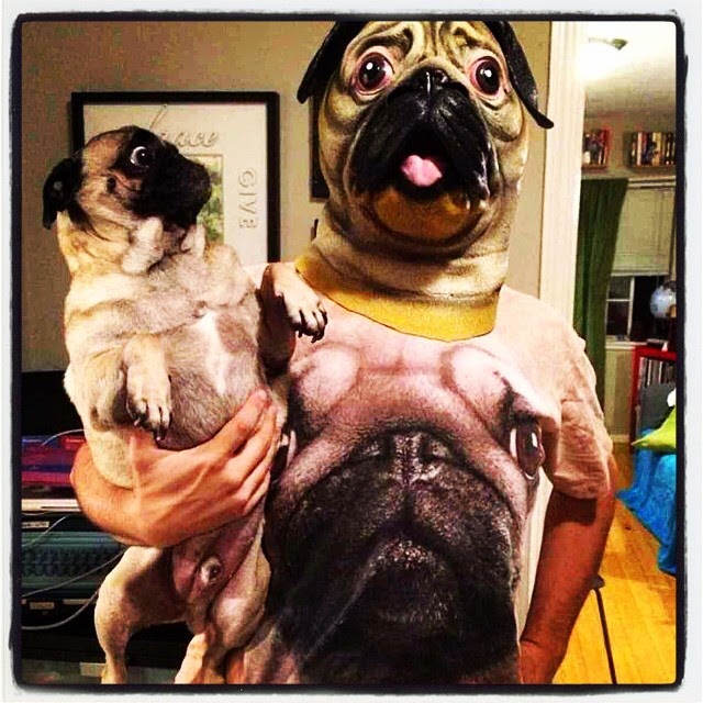 Pug and Owner Halloween Costumes