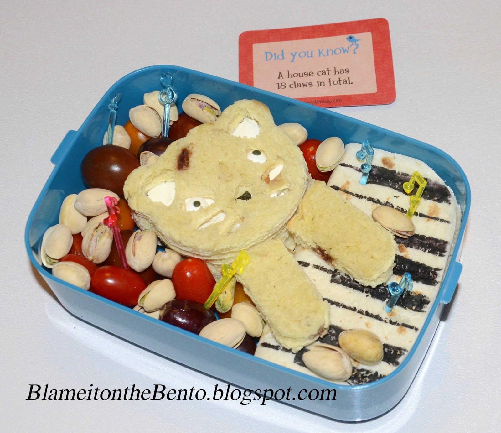 Blame it on the bento Keyboard Cat bento