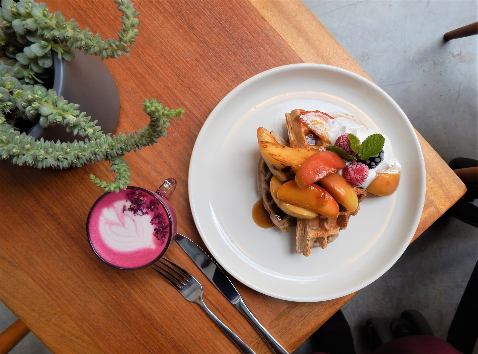 The Emerald Dove Places To Eat In Exeter Sacred Grounds