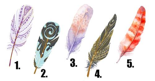 Choose A Feather And Discover Your Most Hidden Desires