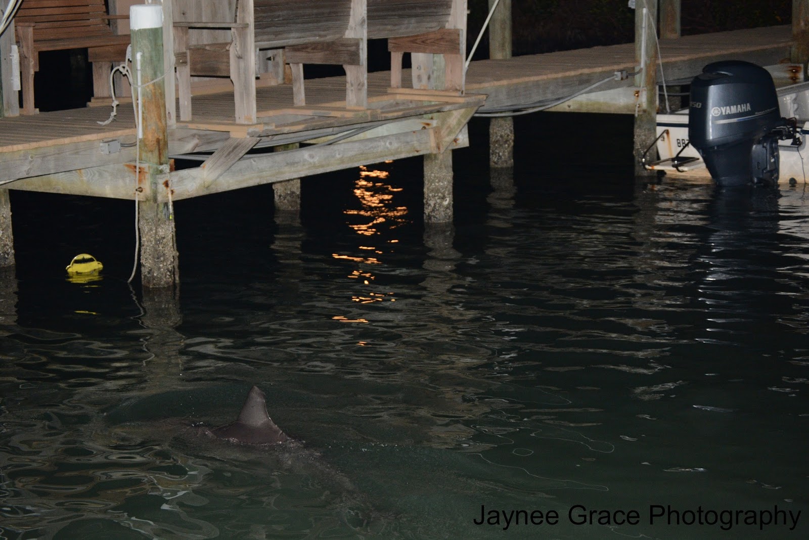 Exploring Florida Waters Placida Day One Placida Harbor, Gasparilla Sound, & Little