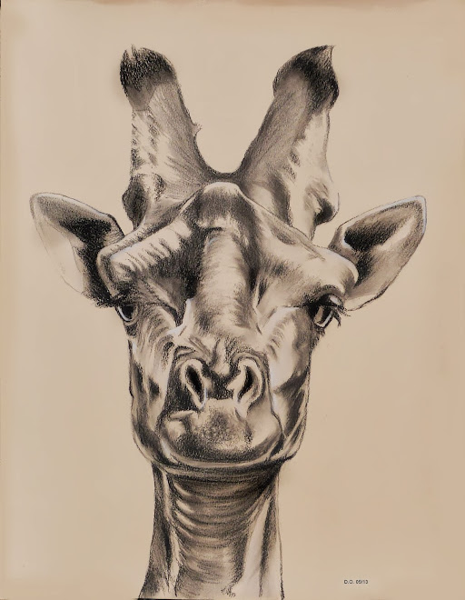 Ma girafe (2013)