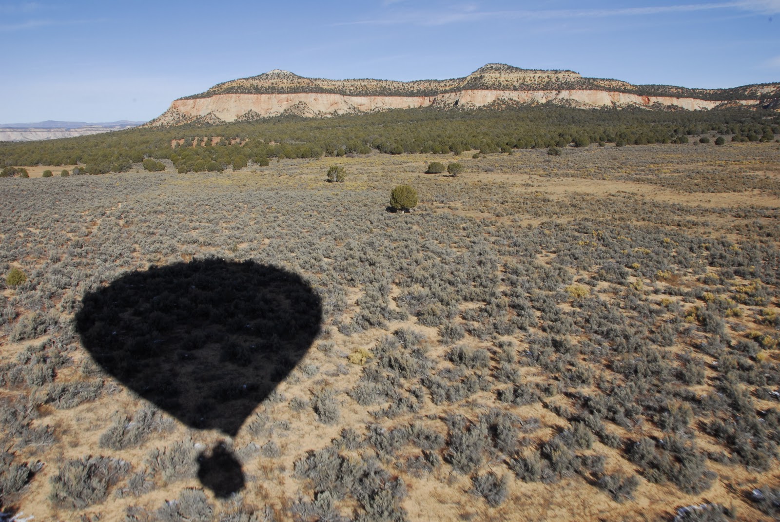 JOY STEIN An Artist's Life Hot Air Balloon Over Zion