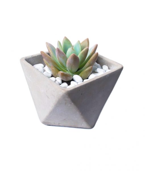 how to make your own terrarium singapore couple activity how to make your own terrarium singapore couple activity