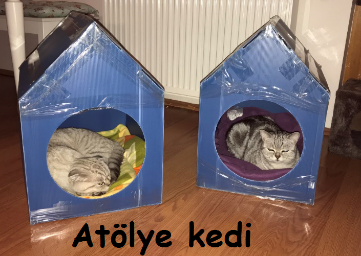 Atölye Kedi Cumadan Pazara…