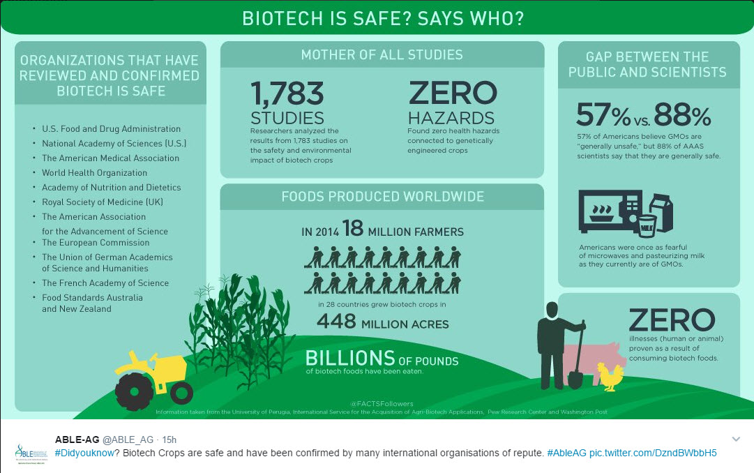 How to write a good title to an essay
