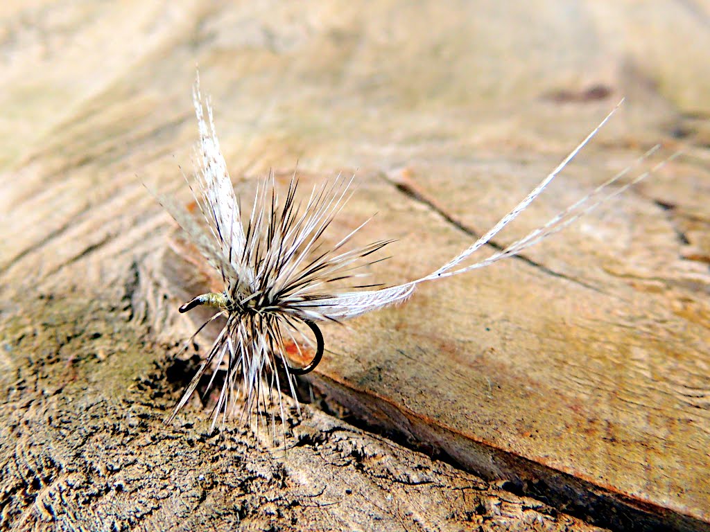 Fuzzy Flies Two Feather Fly