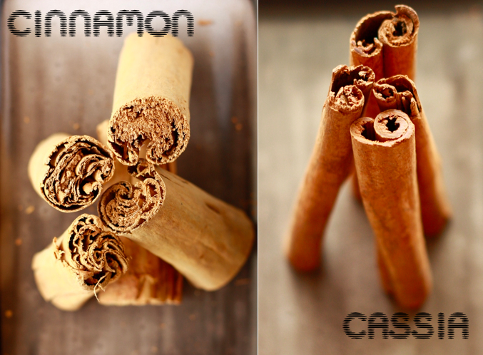 Difference between cinnamon and cassia by SeasonWithSpice.com