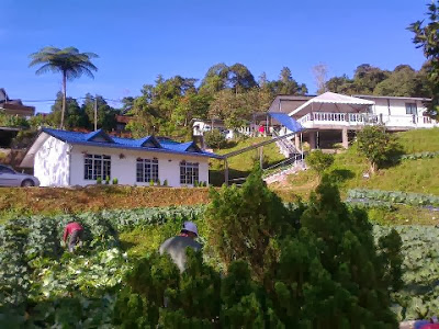 Senarai Chalet Homestay Inap Desa Best Dan Murah, Kampung Taman Sedia, Cameron Highland. Hotel Murah Budget Cameron Highland. Homestay Best Family Cameron