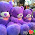 Shop gấu bông giá rẻ - gấu bông teddy cỡ lớn với dịch vụ giao gấu bông tận nơi trong 2 tiếng