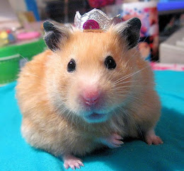 Click on the Hamster to find hairwear for princesses...