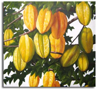Agrowisata Belimbing Dewa Agrowisata Belimbing Dewa