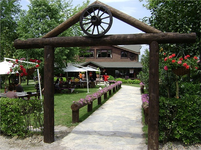 123.jpg