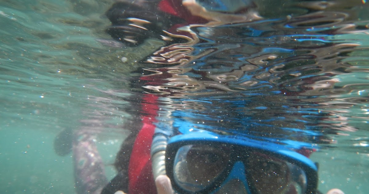 5 Tips Diving untuk Pemula. Ananta FP