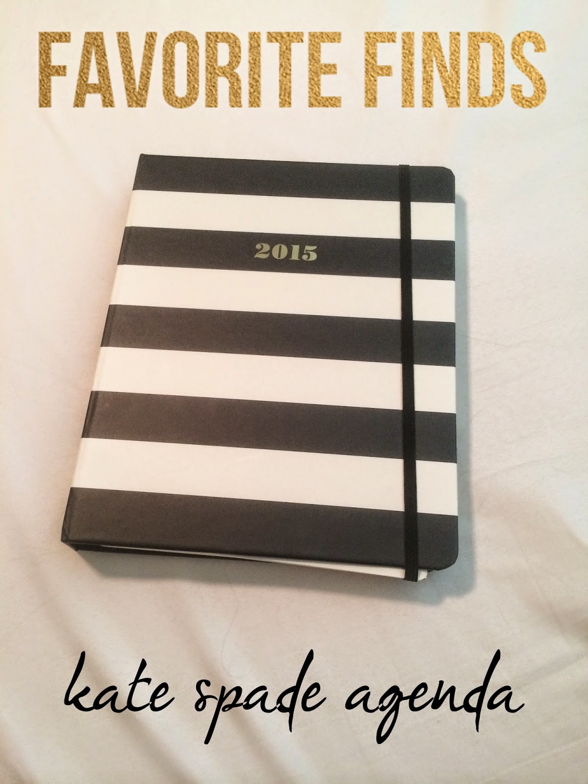 Knowledgeable And Happy knowledgeable-and-happy