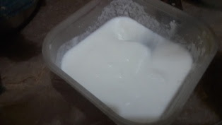 yogurt whisk-the-yogurt