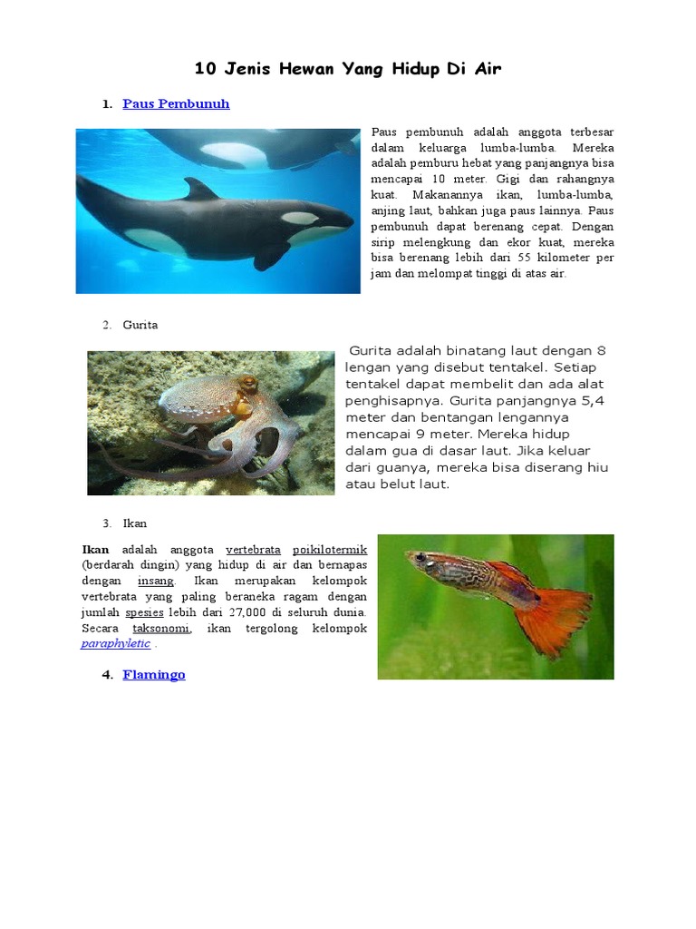 Hewan Yang Hidup Di Air Wood Scribd Indo