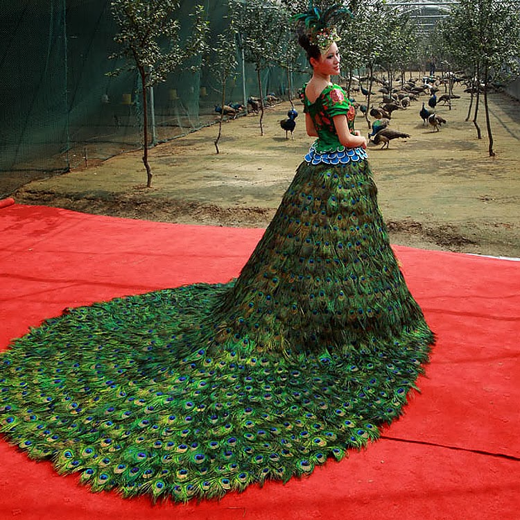 Tessuto Di Pizzo Di Piume Di Pavone Blu Viola 2 Colori Delicato - Foto 9