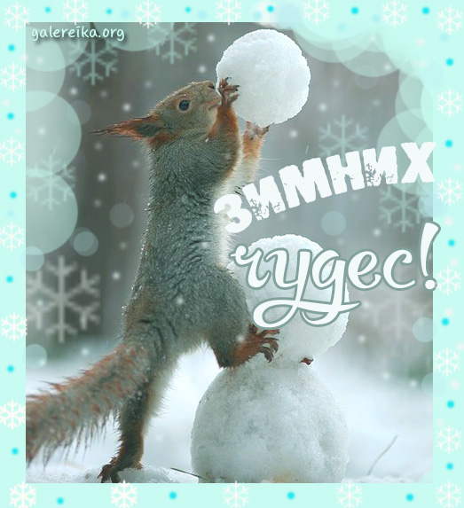 Купить зимние шины фирмы гудиера