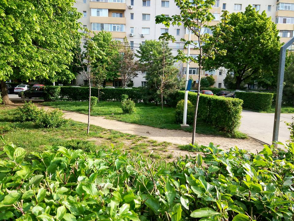 ORB IN LUMEA SURZILOR România , Ploiești, Parc Aurora Vest, secolul