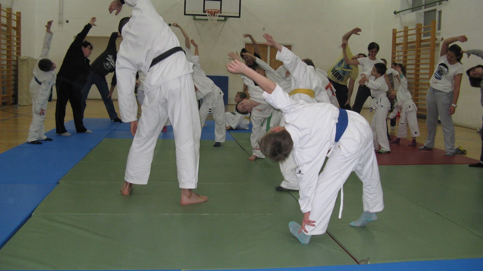 Aikido BJJ Csepreg Csal di Edz sek
