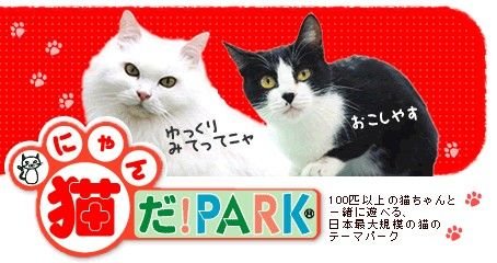 Kaijinx個博烙 千葉県貓公園 猫 にゃん だ Park
