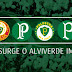 Papel de Parede do Palmeiras (Wallpapers) Baixar Grátis