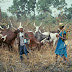 BENUE KILLINGS: State Govt vows to stop incessant crises