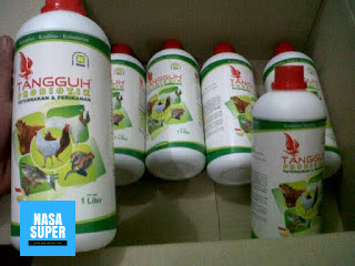Distributor Resmi Produk Nasa TANGGUH (Probiotik Peternakan dan Perikanan) Grosir Produk Nasa TANGGUH (Probiotik Peternakan dan Perikanan)
