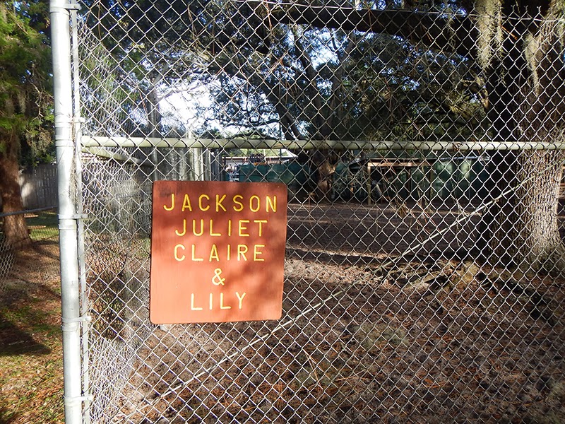 Sandcastle Momma Eglin Air Force Base's Jackson Guard