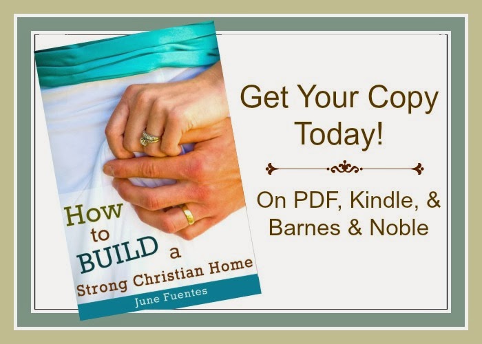 http://proverbs14verse1.blogspot.com/2014/02/its-here-how-to-build-strong-christian.html