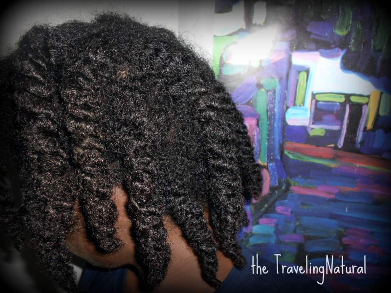 Coconut Milk for Natural Hair TravelingNatural