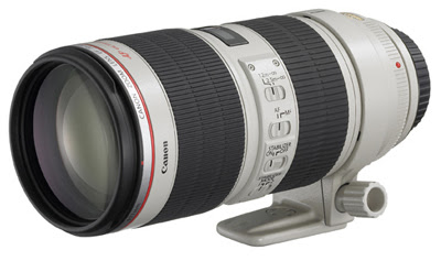 Tele Zoom Lens