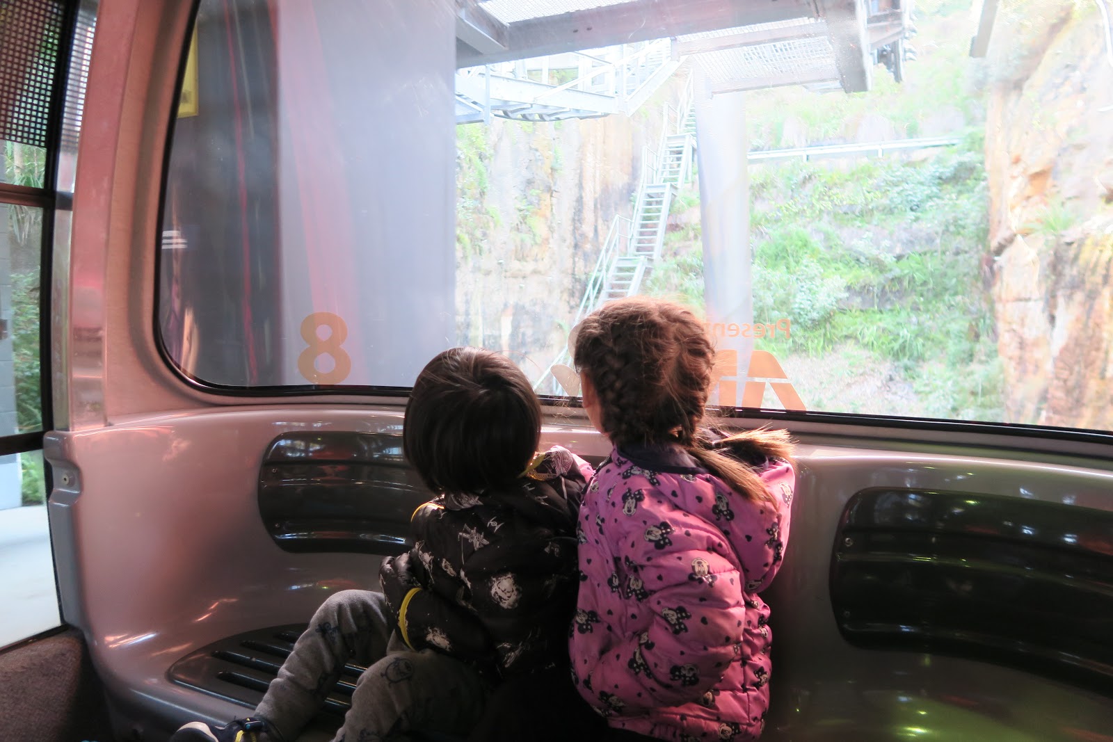 Taronga Zoo :: Sky Safari Ride