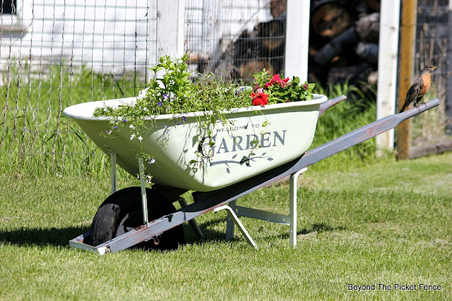 junky planter, old wheelbarrow, stencils, fusion mineral paint, garden junk, http://bec4-beyondthepicketfence.blogspot.com/2016/05/welcome-to-my-gardenstencil-paint.html