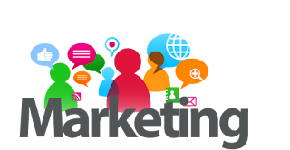 Estágio Profissional em Marketing Estágio Profissional em Marketing