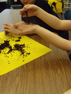 Chickadee Jubilee: Pansy Dissection