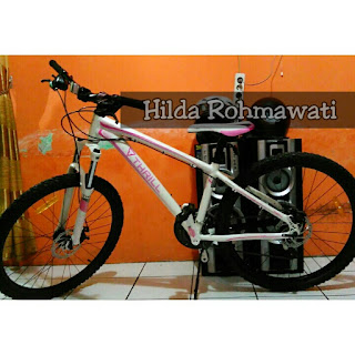 Jenis-Jenis Sepeda MTB ( Mountain Bike ) ~ JENDELA HOBI